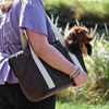 Picture of Doogy Soft Brown Pet Carrier Bag and Cosy Bed